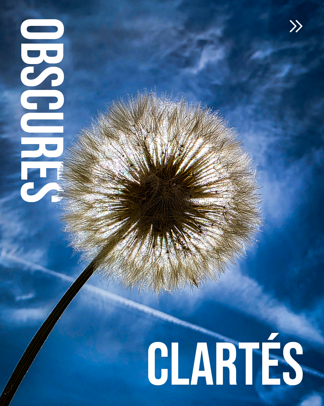 Page de couverture Obscures Clartés
